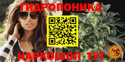 тгк Анжеро-Судженск