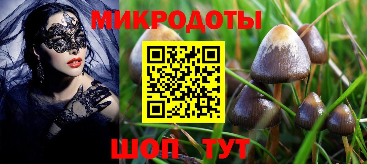 Галлюциногенные грибы мухоморы Мариинск