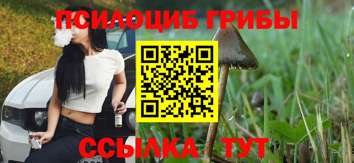 Псилоцибиновые грибы Magic Shrooms  Вход с VPN  Галлюциногенные грибы Psilocybe  Мариинск 
